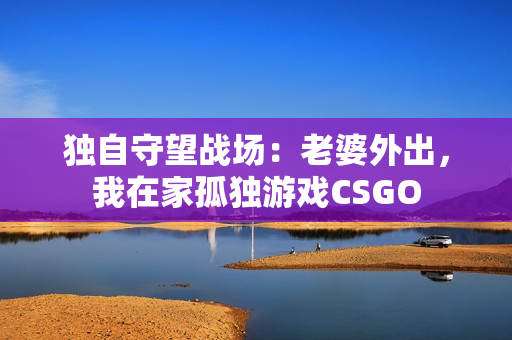 独自守望战场：老婆外出，我在家孤独游戏CSGO