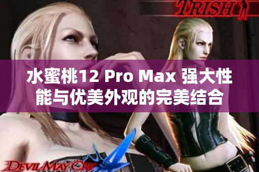 水蜜桃12 Pro Max 强大性能与优美外观的完美结合