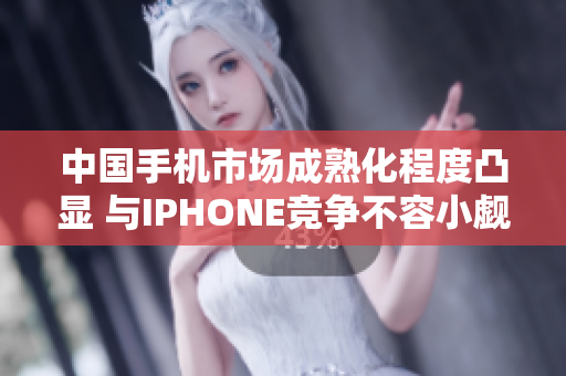 中国手机市场成熟化程度凸显 与IPHONE竞争不容小觑