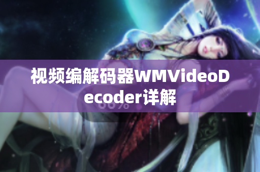 视频编解码器WMVideoDecoder详解