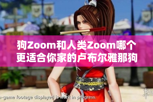 狗Zoom和人类Zoom哪个更适合你家的卢布尔雅那狗？