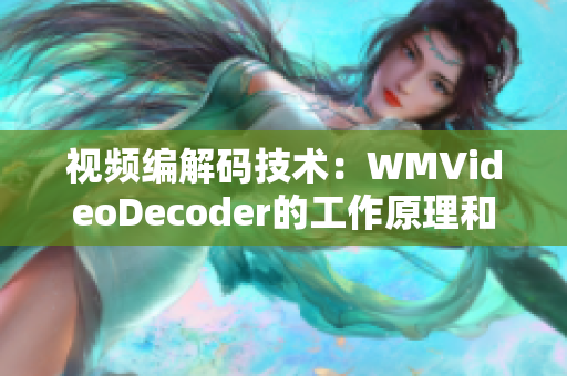 视频编解码技术：WMVideoDecoder的工作原理和应用领域