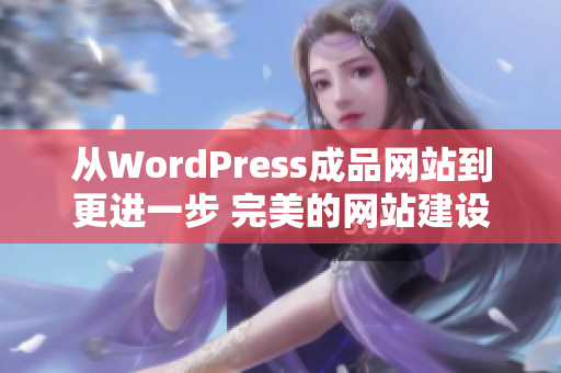 从WordPress成品网站到更进一步 完美的网站建设者之路