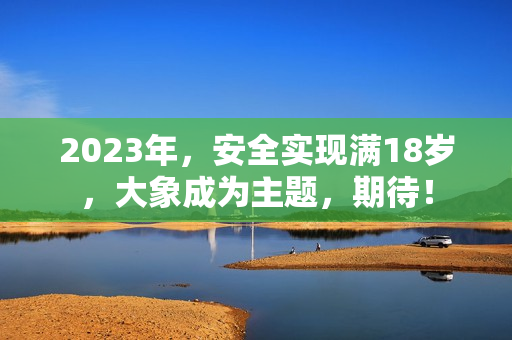 2023年，安全实现满18岁，大象成为主题，期待！