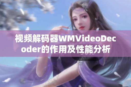 视频解码器WMVideoDecoder的作用及性能分析