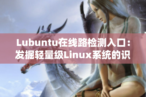 Lubuntu在线路检测入口：发掘轻量级Linux系统的识别指南