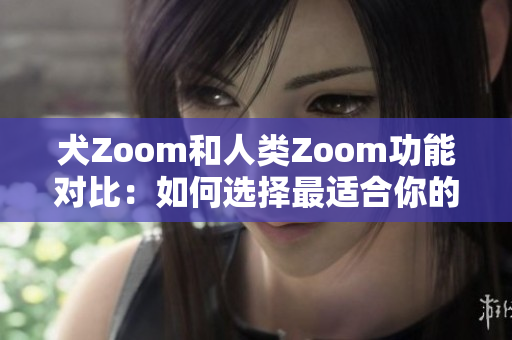 犬Zoom和人类Zoom功能对比：如何选择最适合你的视频会议工具