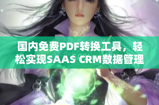 国内免费PDF转换工具，轻松实现SAAS CRM数据管理-完全免费的PDF转换解决方案