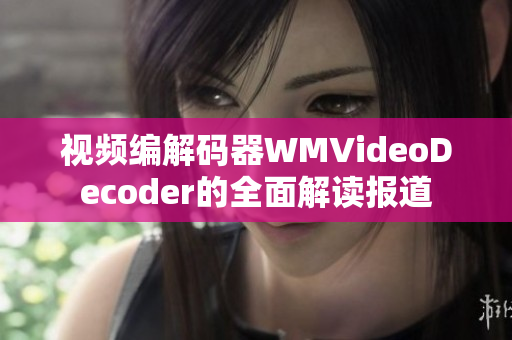 视频编解码器WMVideoDecoder的全面解读报道