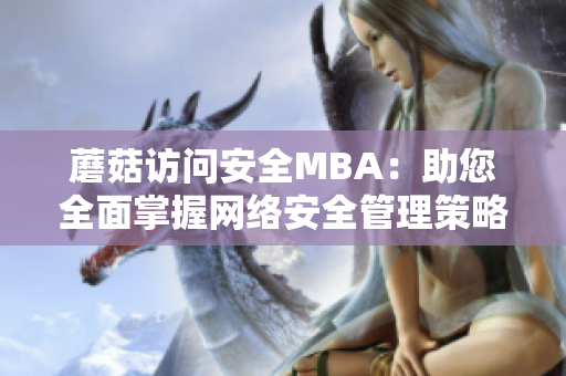 蘑菇访问安全MBA：助您全面掌握网络安全管理策略