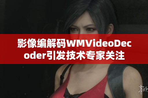 影像编解码WMVideoDecoder引发技术专家关注