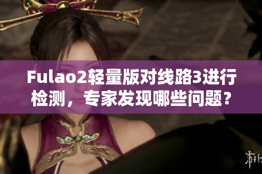 Fulao2轻量版对线路3进行检测，专家发现哪些问题？