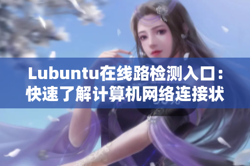 Lubuntu在线路检测入口：快速了解计算机网络连接状态