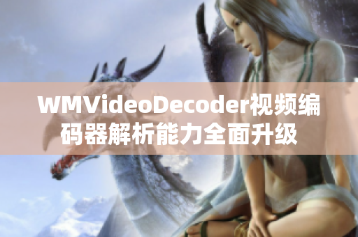 WMVideoDecoder视频编码器解析能力全面升级