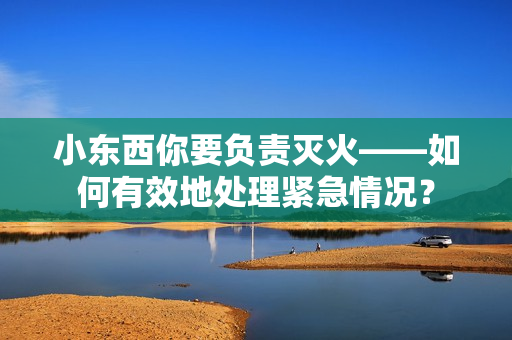 小东西你要负责灭火——如何有效地处理紧急情况？