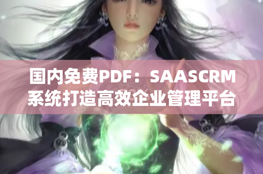 国内免费PDF：SAASCRM系统打造高效企业管理平台