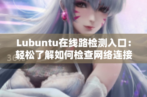 Lubuntu在线路检测入口：轻松了解如何检查网络连接状态