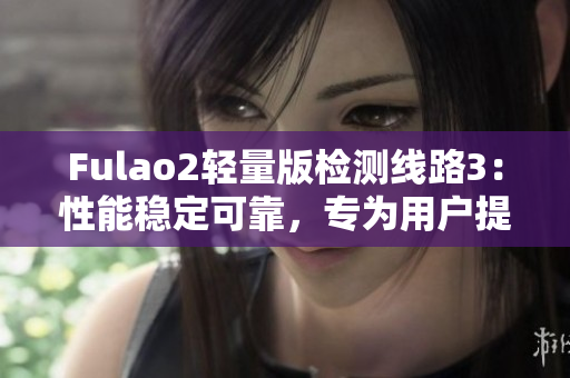 Fulao2轻量版检测线路3：性能稳定可靠，专为用户提供高效检测体验