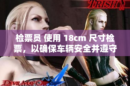 检票员 使用 18cm 尺寸检票，以确保车辆安全并遵守规定