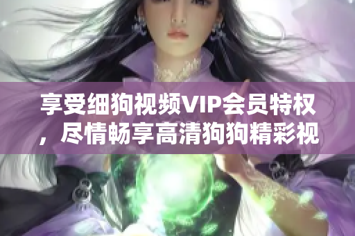 享受细狗视频VIP会员特权，尽情畅享高清狗狗精彩视频