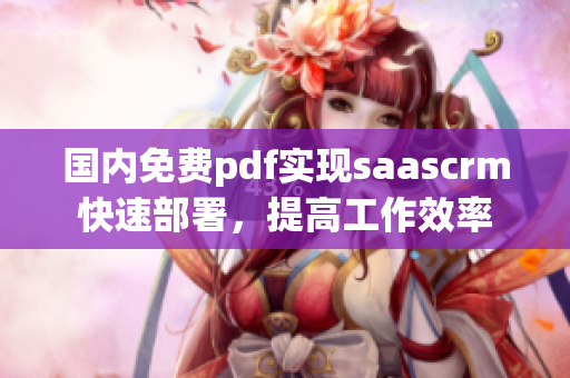 国内免费pdf实现saascrm快速部署，提高工作效率