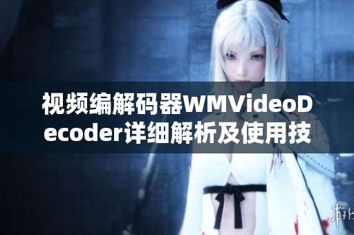 视频编解码器WMVideoDecoder详细解析及使用技巧。