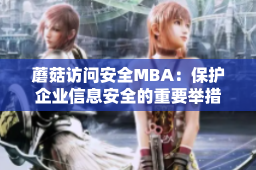 蘑菇访问安全MBA：保护企业信息安全的重要举措