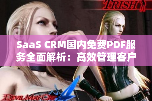 SaaS CRM国内免费PDF服务全面解析：高效管理客户关系新利器