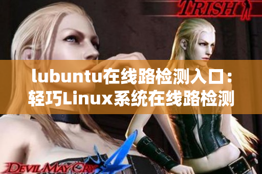 lubuntu在线路检测入口：轻巧Linux系统在线路检测服务