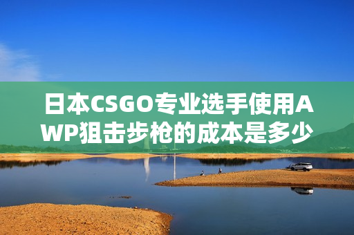 日本CSGO专业选手使用AWP狙击步枪的成本是多少？